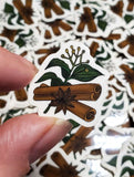 Cinnamon and Star Anise Sticker