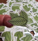 Bay Leaf Sticker