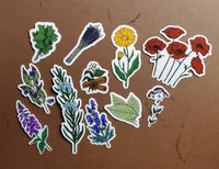 The Witch's Garden Sticker Collection