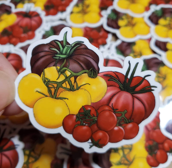 Tomato Sticker