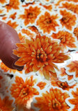 Orange Chrysanthemum