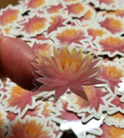 Water Lily Sticker