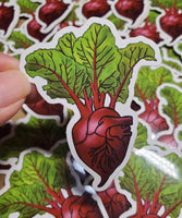 Heart Beet Sticker