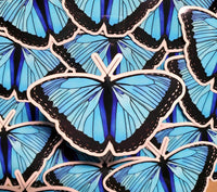 Blue Butterfly Sticker