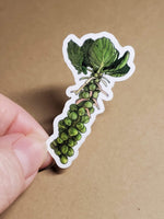 Brussel Sprouts Sticker